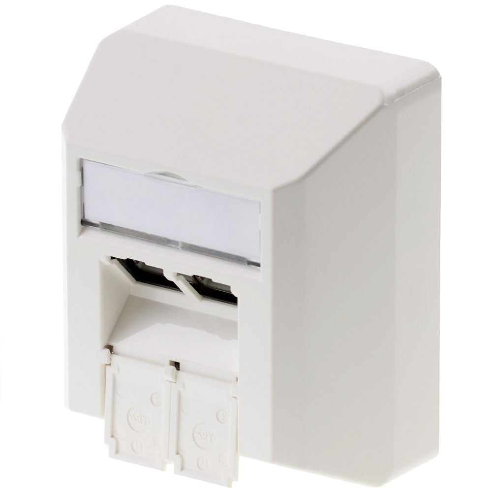 Telegärtner networkdose Aufputz CAT 6a 2 Port Alpin white