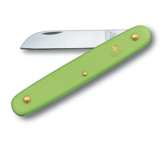 Victorinox EcoLine 3.9050.47B1 Okuliermesser Pastell-Grün