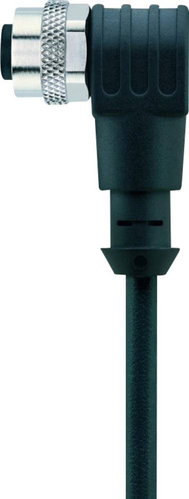 Escha 8043815 Sensor-/Aktor-Steckverbinder, konfektioniert M12 Buchse,