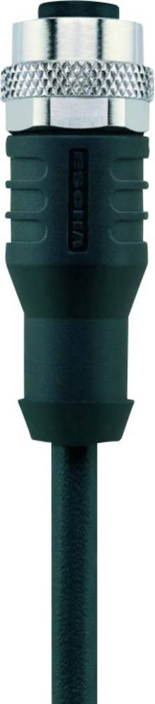 Escha 8043824 Sensor-/Aktor-Steckverbinder, konfektioniert M12 Buchse,
