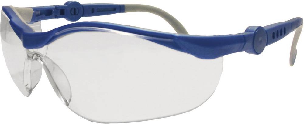 Leipold Doehle 2675 Schutzbrille Blau, grey EN 166-1 DIN 166-1