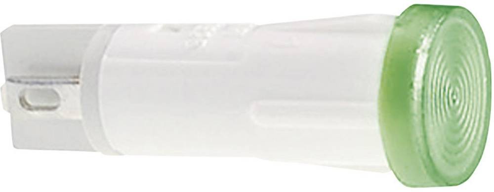 RAFI 1.69.525.210/1500 Standard Signalleuchte mit Leuchtmittel Grün