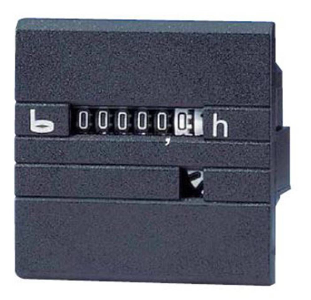 Bauser 630R/008-021-0-1-001 Betriebsstundenzähler - 630