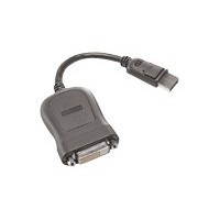 Lenovo - DVI-Kabel - Single Link - DisplayPort (M)
