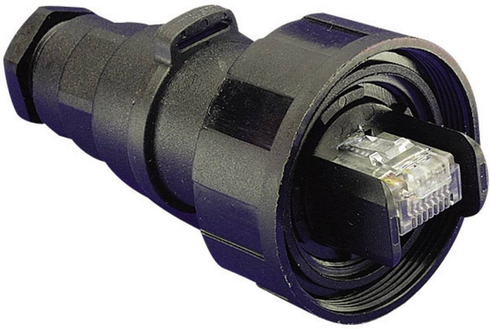 Bulgin Buccaneer Series Male RJ45 Connector, Cable Mount, Cat5e