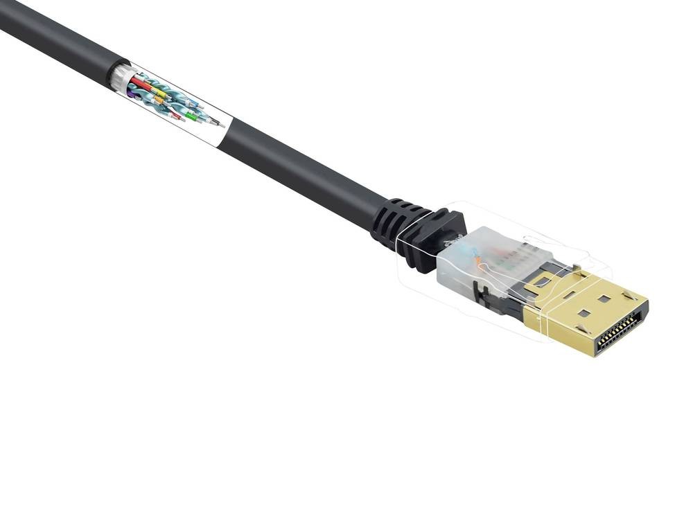 Renkforce DisplayPort Anschlusskabel DisplayPort Stecker, DisplayPort