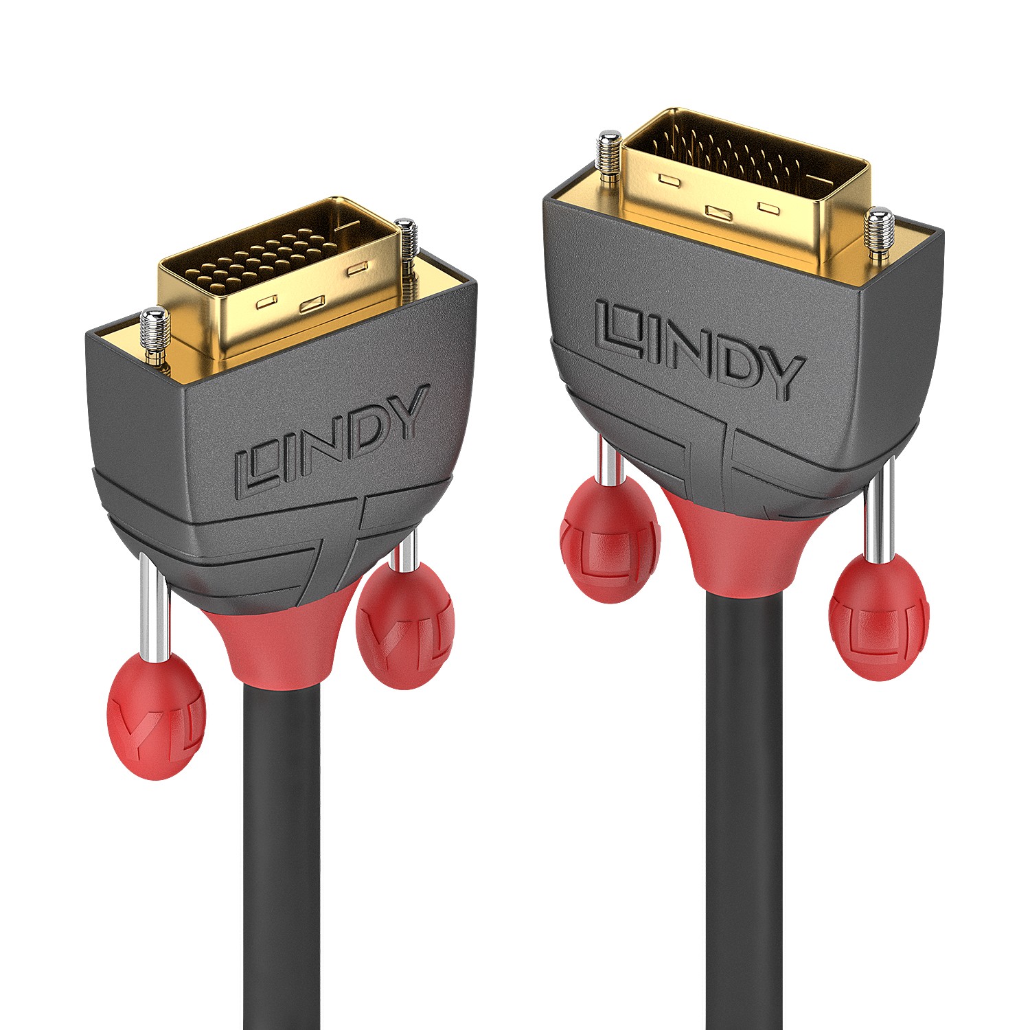 Lindy 3m DVI-D Dual Link Cable, Anthra Line - Lindy 3m DVI-D Dual