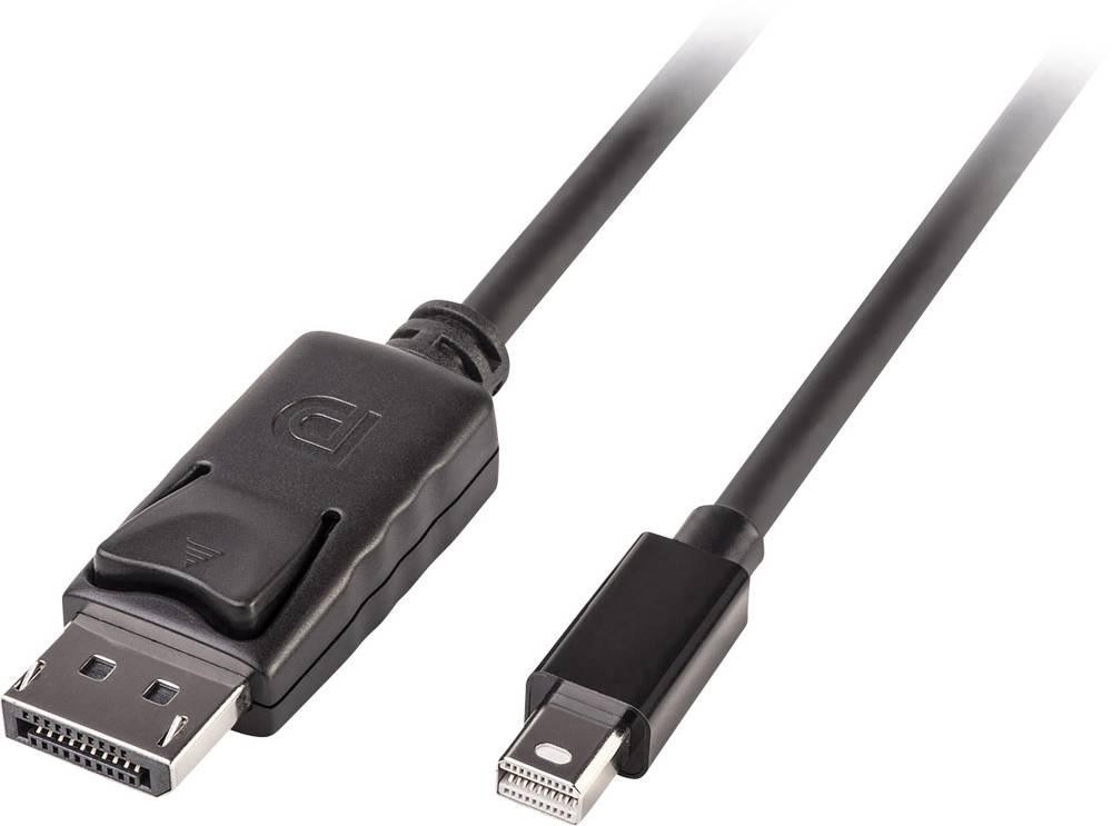 LINDY Mini-DisplayPort / DisplayPort Adapterkabel Mini DisplayPort