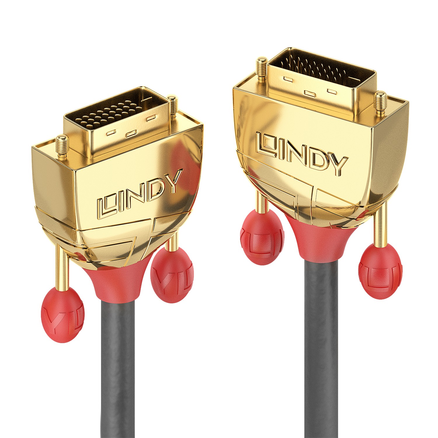 Lindy 5m DVI-D Dual Link Cable, Gold Line - Lindy 5m DVI-D Dual Link