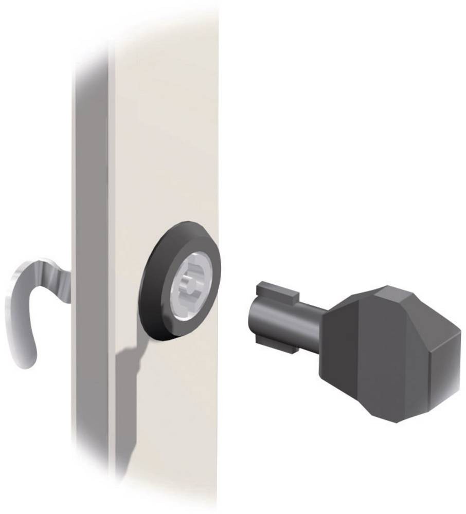 Fibox MB 12235 Schaltschrankschlüssel Doppelbart Polyamid black 1 pc(
