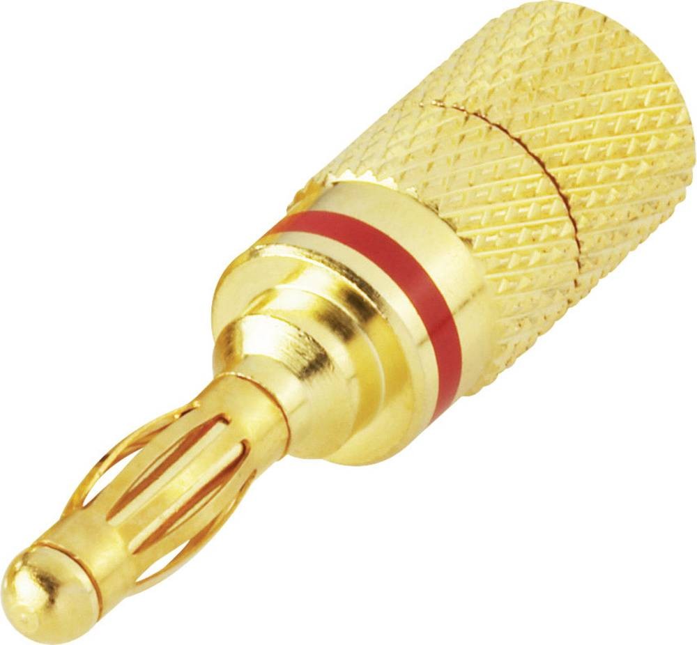 TRU Components Lamellenprise mâle Stift-Ø: 4mm Rot 1 pc(s)