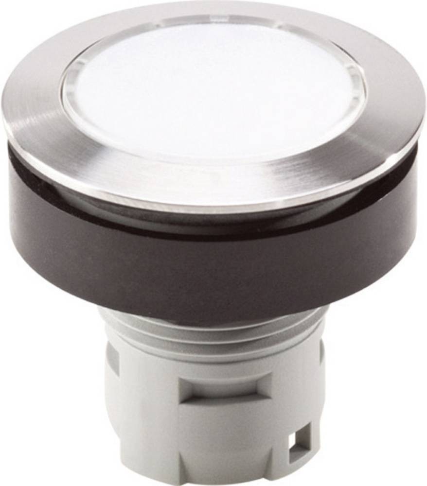 Georg Schlegel Drucktaste beleuchtbar, rund, RONTRON-R-JUWEL Hub 3,