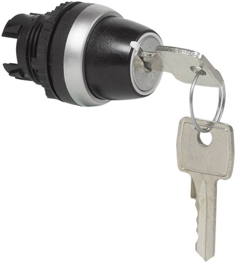 BACO 223950 L21LA00 Schlüsselschalter Frontring Kunststoff,
