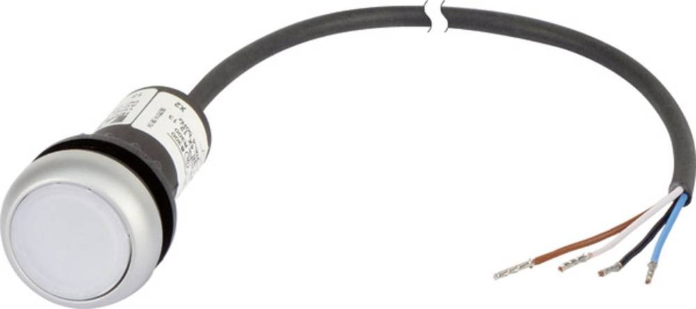 Eaton 185588 C22-DL-W-K10-24-P62 Drucktaster flach white 1 pc(s)