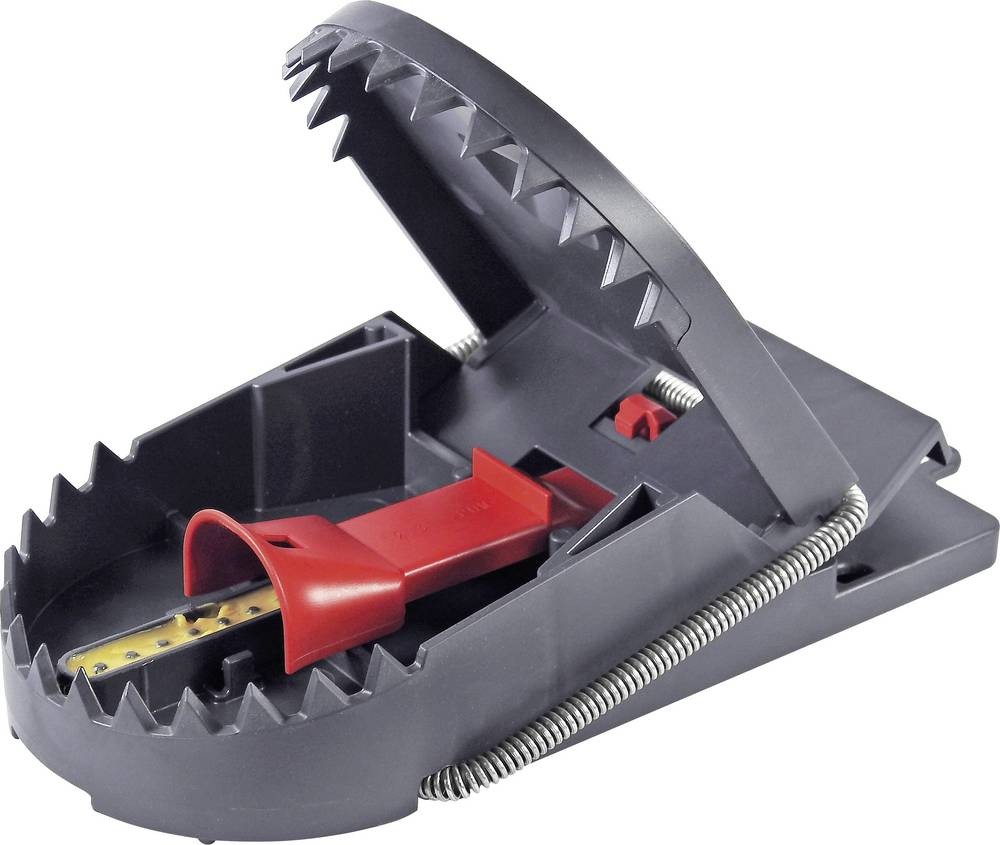 Sotel.de | Swissinno SuperCat PRO Rattenfalle Funktionsart Lockstoff  Erdnussbutter-Kder 1St.