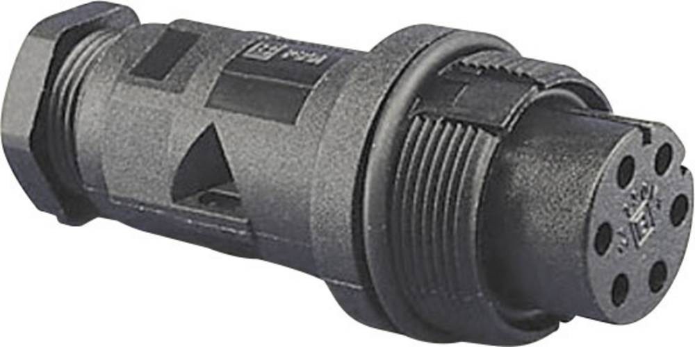 Bulgin PX0801 Rundstecker Stecker, Einbau Serie (Rundsteckverbinder):