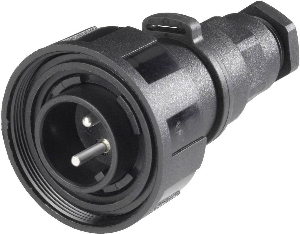 Bulgin PX0736/P no categorizado - Bulgin PX0736/P
