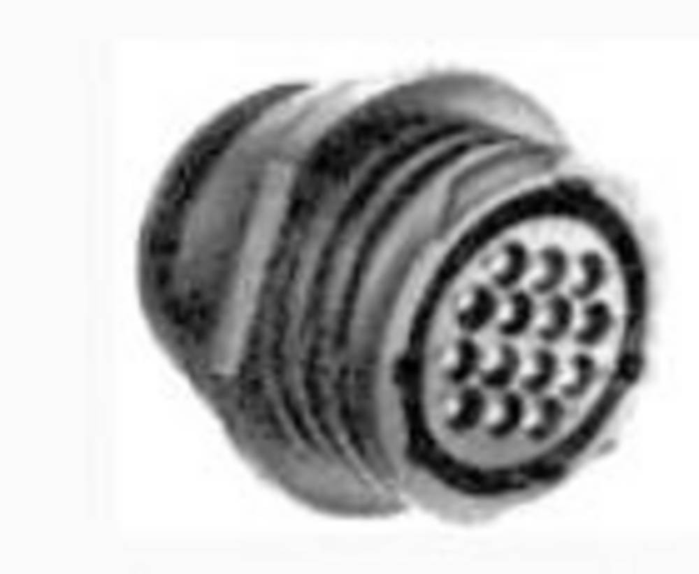 TE Connectivity 182919-1 Rundstecker Buchse, gerade Gesamtpolzahl: 4