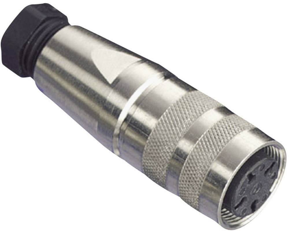 Amphenol C091 31D005 100 2 Rundstecker Kupplung, gerade Gesamtpolzahl: