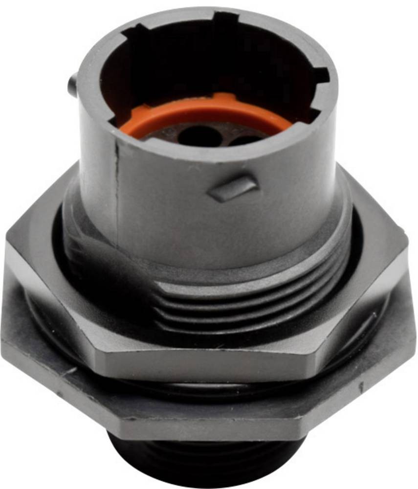 Amphenol RTS 7 12N 8P03 Rundstecker Stecker, Einbau Gesamtpolzahl: 8