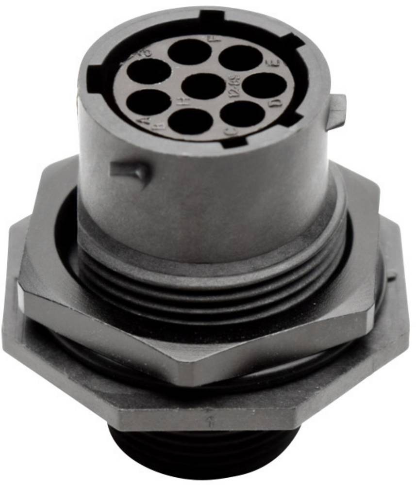 Amphenol RTS 7 12N 8S03 Rundstecker Buchse, Einbau Gesamtpolzahl: 8