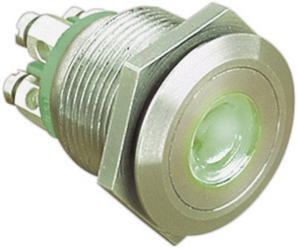 Bulgin MPI001 Series Illuminated Push Button Switch, Momentary, Panel