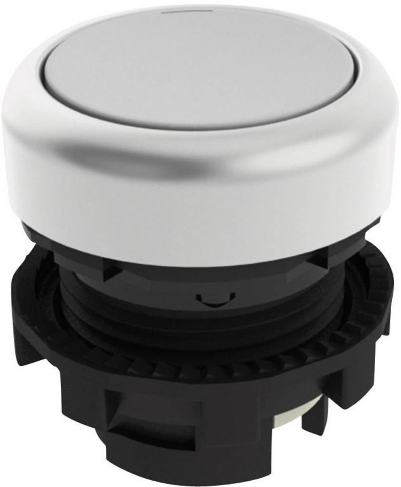 Pizzato Elettrica E21PU2R2290 E21PU2R2290 Drucktaster white 1 pc(s)