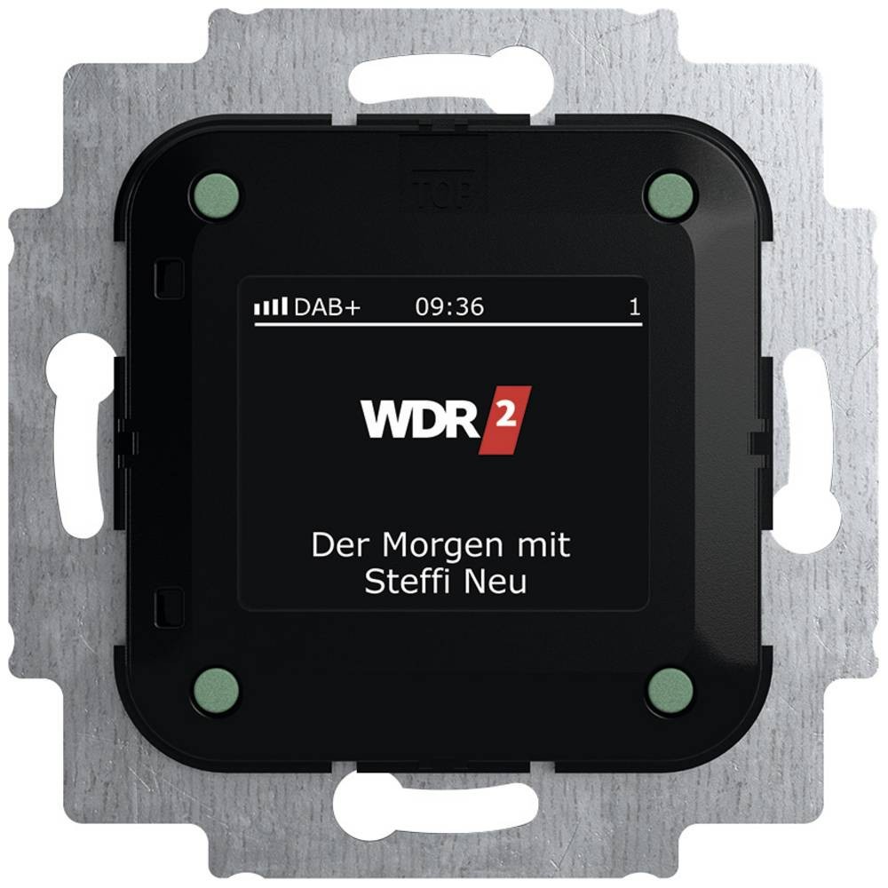 Busch-Jaeger Einsatz Radio 2CKA008200A0275 1St.