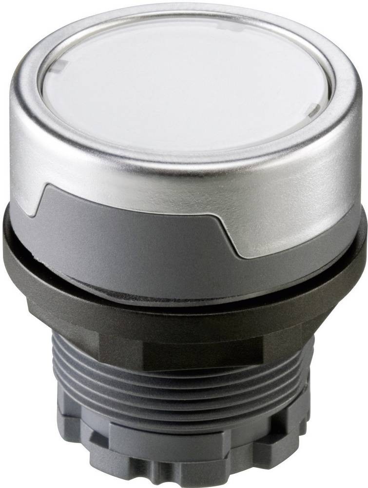 Schlegel RMCTKL RMCTKL Drucktaster silver-Grau 1 pc(s)