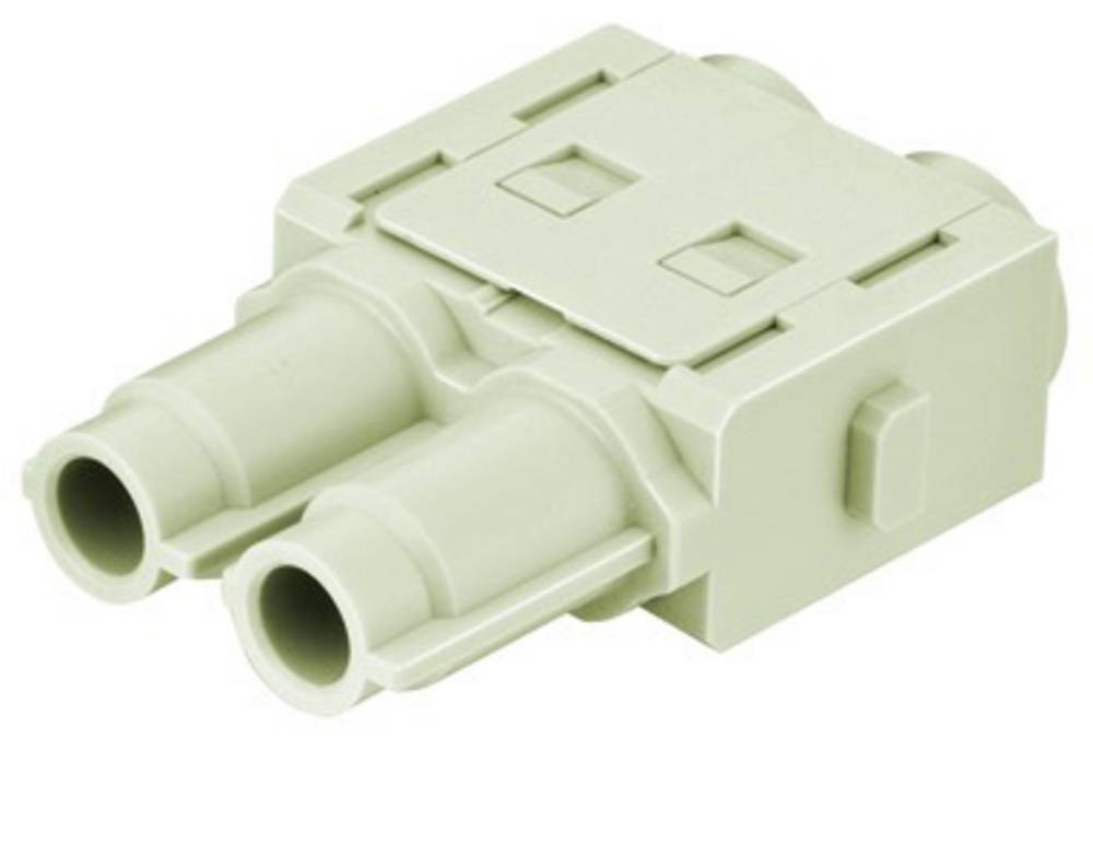 HARTING Buchsenmodul 09140023141 Inhalt: 1 St. Buchsenmodul