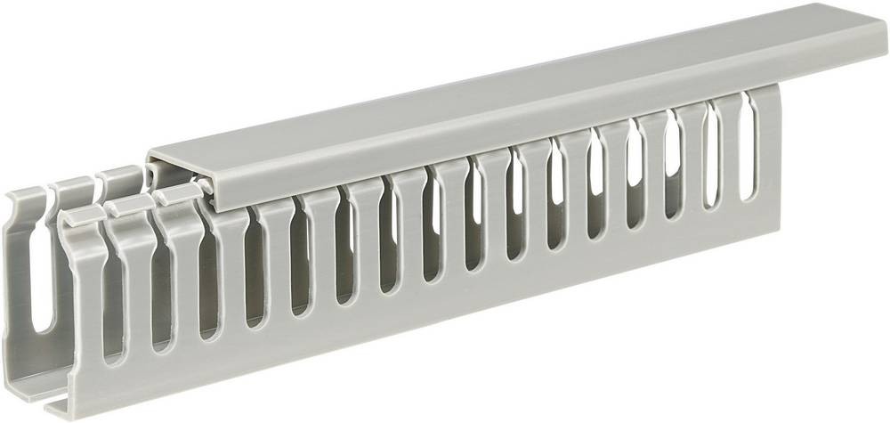 Sygonix SY-5045596 Verdrahtungskanal (L x B x H) 2000 x 25 x 45mm 1