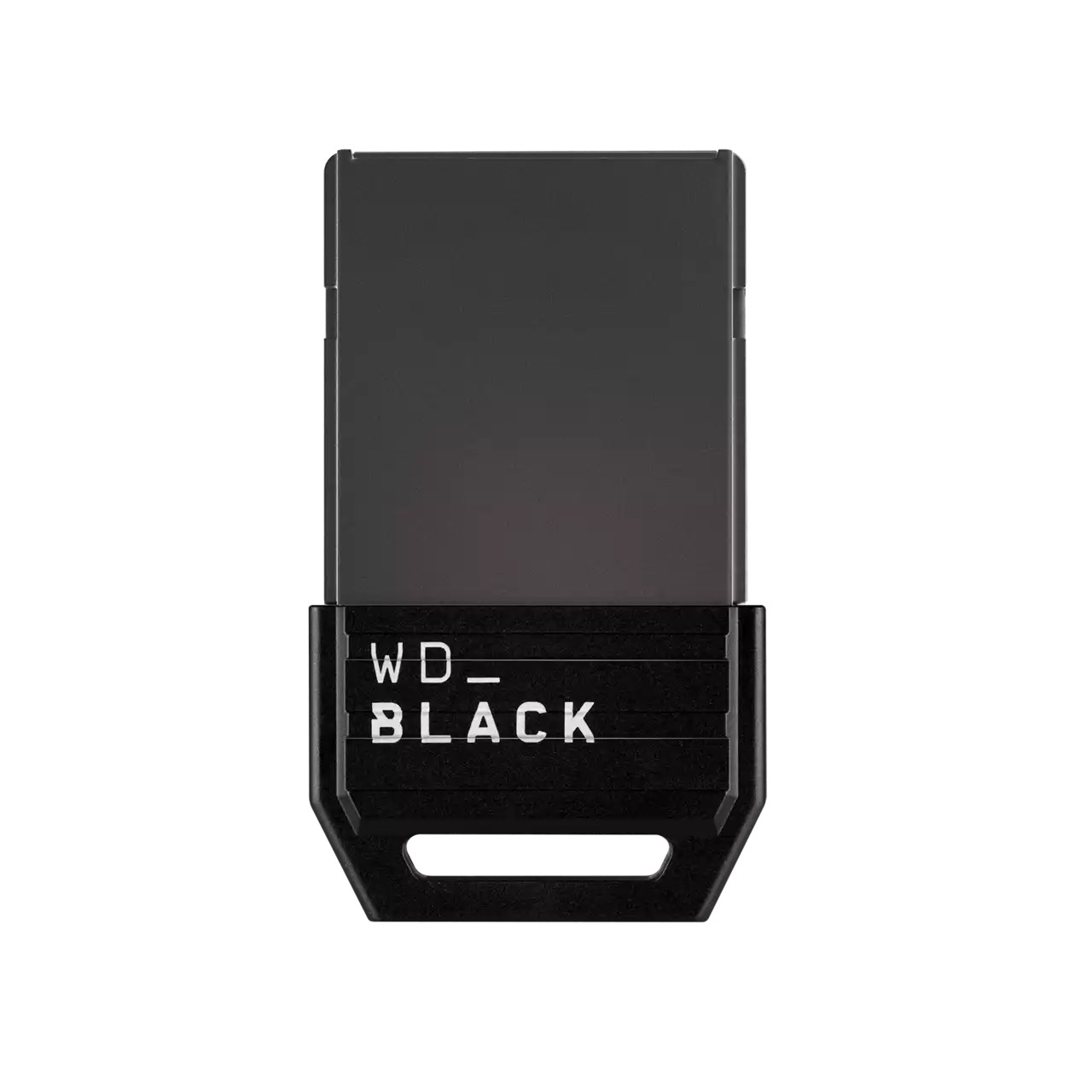 SanDisk WDBMPH5120ANC-WCSN game console part/accessory Storage
