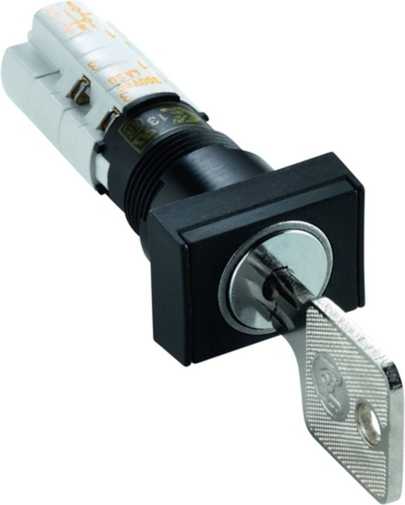 RAFI 1.15.108.632/0100 Schlüsselschalter 250 V/AC 4A 2 x Aus/Ein 1 x
