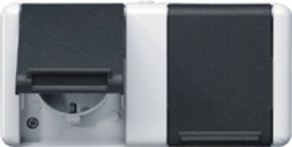 Jung SCHUKO-Steckdose dual 8220 W