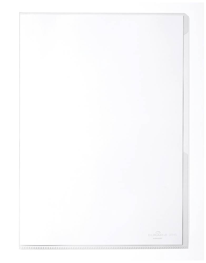 Durable 231519 protector de hojas 210 x 297 mm (A4) PVC 100 pieza(s) -