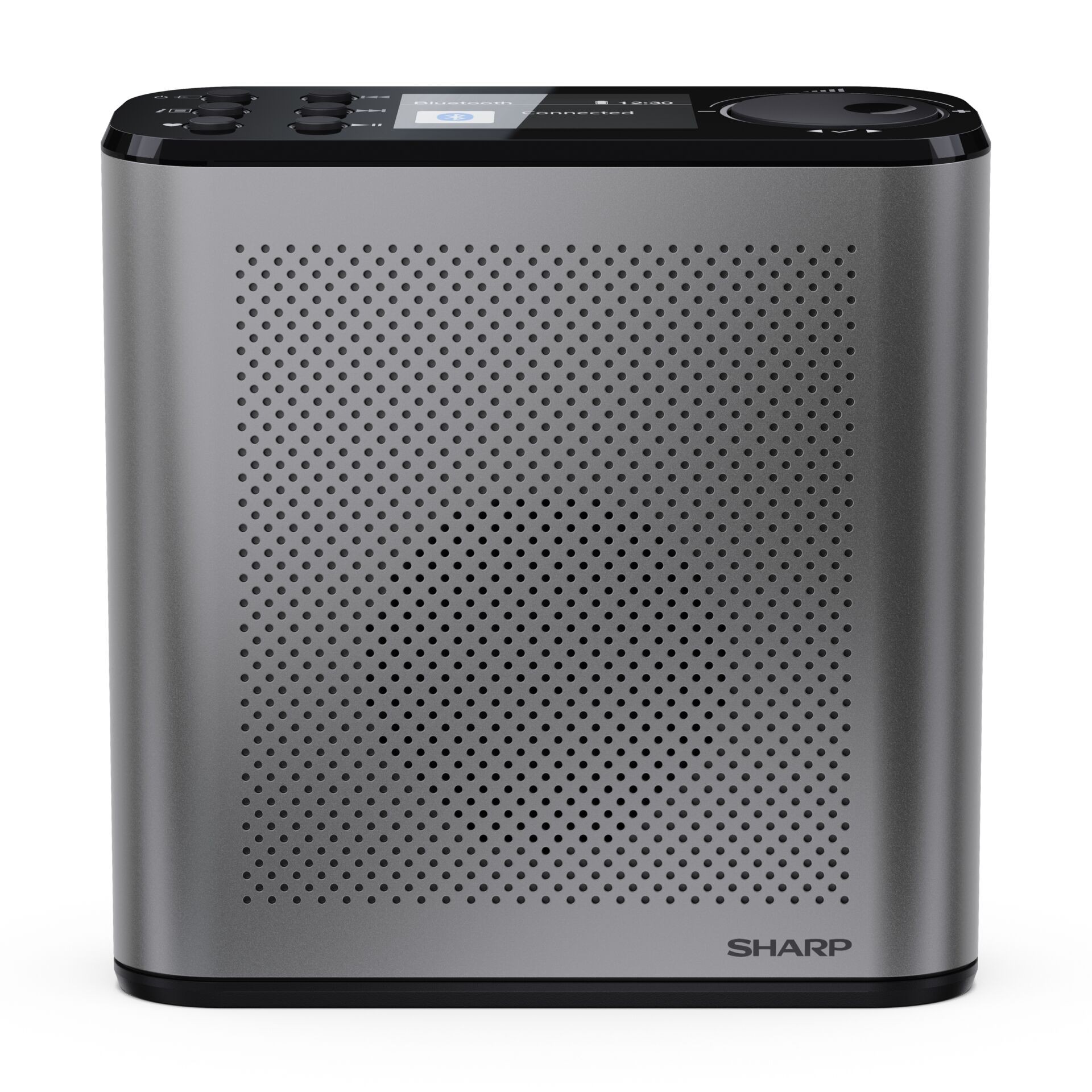Sharp R530 Sotel | Sharp Digitalradio DR-P530 GR Portable Digital