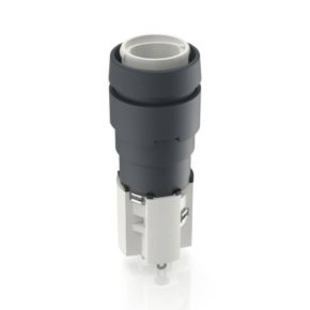 RAFI 1.15.108.551/0000 MICON Leuchtdruckschalter 230V 4A rastend (L x