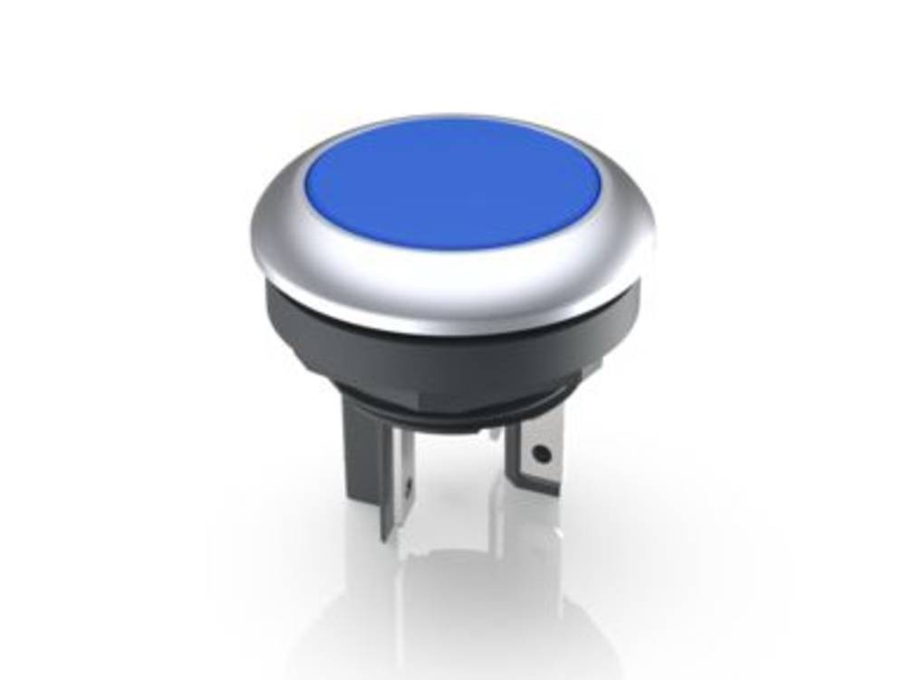RAFI 1.15.210.121/2600 LUMOTAST 16 Leuchtdrucktaster 35V 0.1A tastend