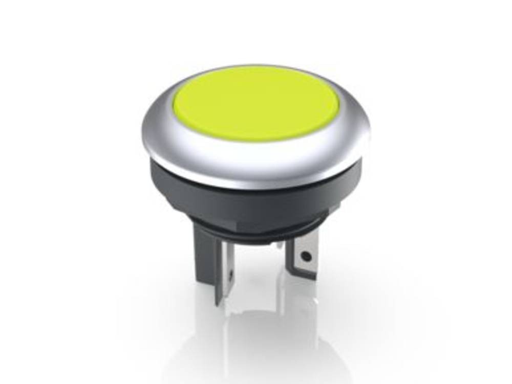 RAFI 1.15.210.121/2400 LUMOTAST 16 Leuchtdrucktaster 35V 0.1A tastend