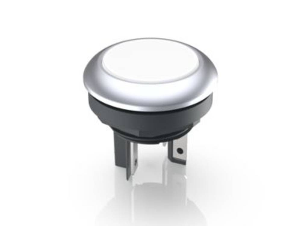 RAFI 1.15.210.121/2200 LUMOTAST 16 Leuchtdrucktaster 35V 0.1A tastend