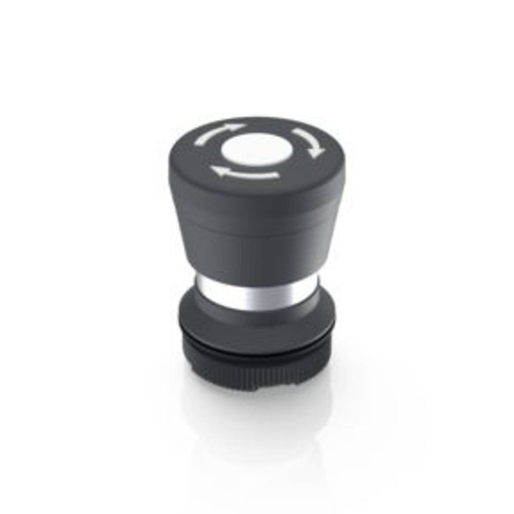 RAFI 1.30.276.001/2200 RAFIX 22 FS Pilzdrucktaster rastend (L x B x H)