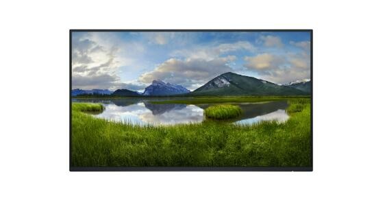 LED-Monitor Dell P2425H Professional EEK C (A - G) 60.5 cm (23.81