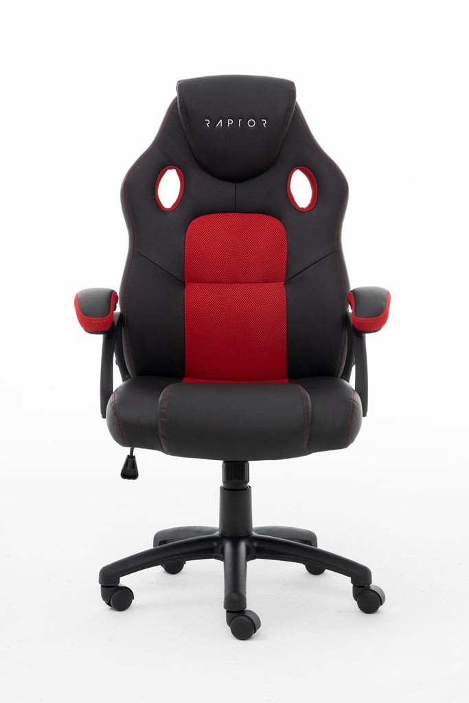 Raptor Gaming 437764 Siège pour jeu vidéo Siège de jeu sur PC Siè