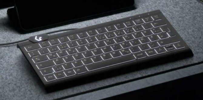 KeySonic KSK-5010ELC (DE) teclado Hogar USB QWERTZ Alemán Negro -