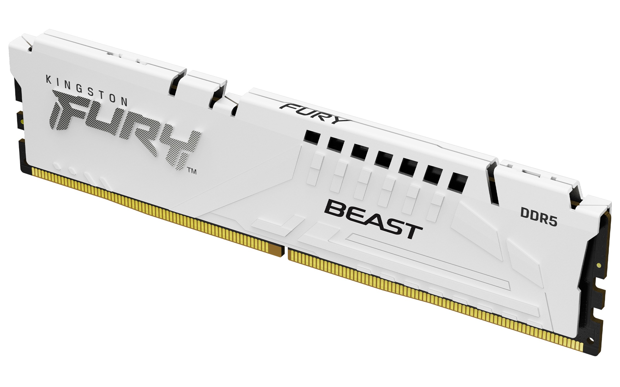Kingston Technology FURY Beast 16 Go 6000 MT/s DDR5 CL30 DIMM White