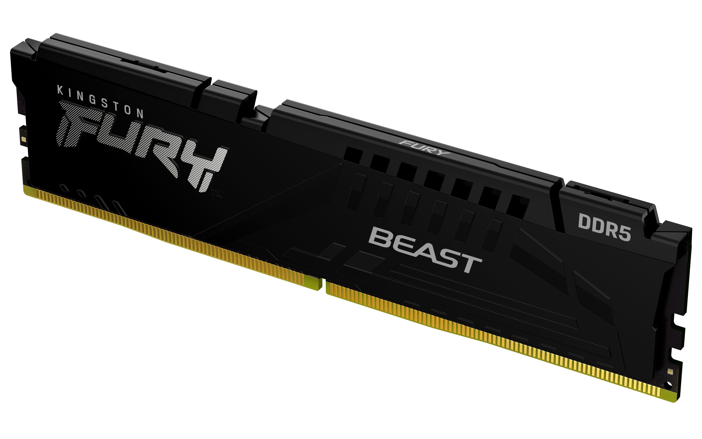 Kingston Technology FURY Beast 32 Go 6400 MT/s DDR5 CL32 DIMM Black
