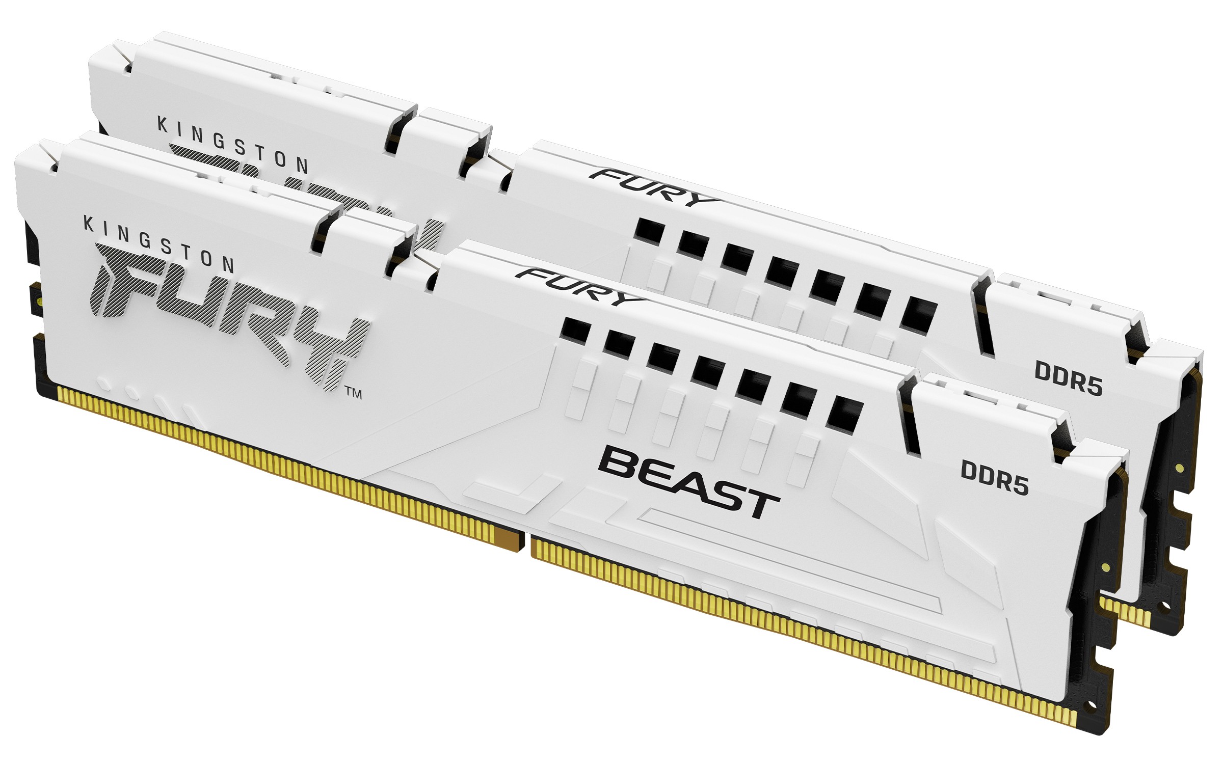 Kingston Technology FURY Beast 64GB 6000MT/s DDR5 CL30 DIMM (Kit of 2)