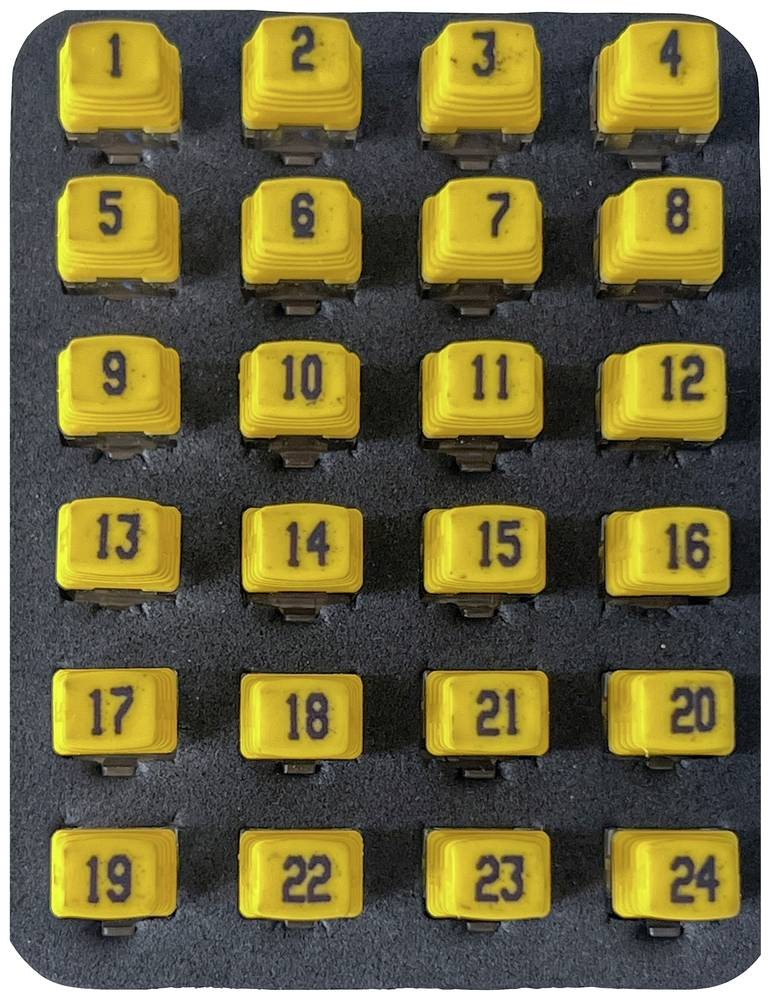 Softing Remote Identifier 226581 PD_RK224 network
