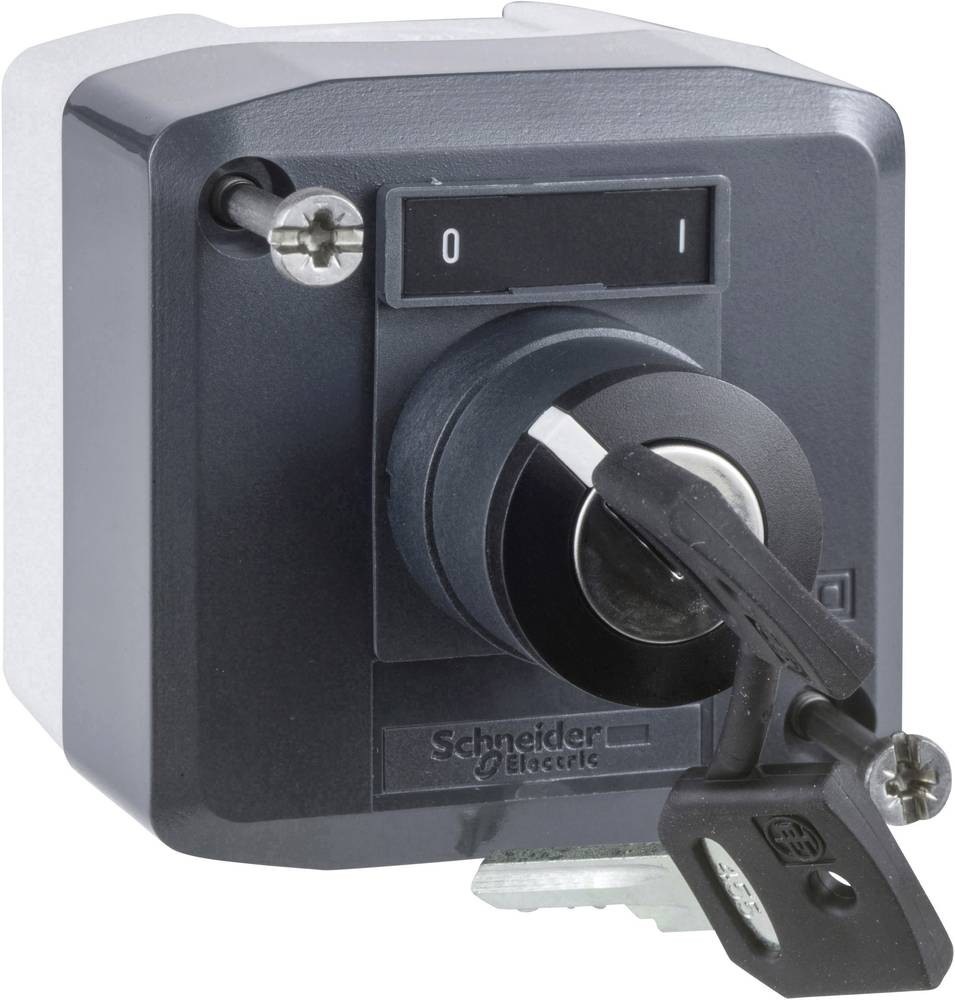 Schneider Electric Control Station Switch - SPDT, Polycarbonate, Grey,