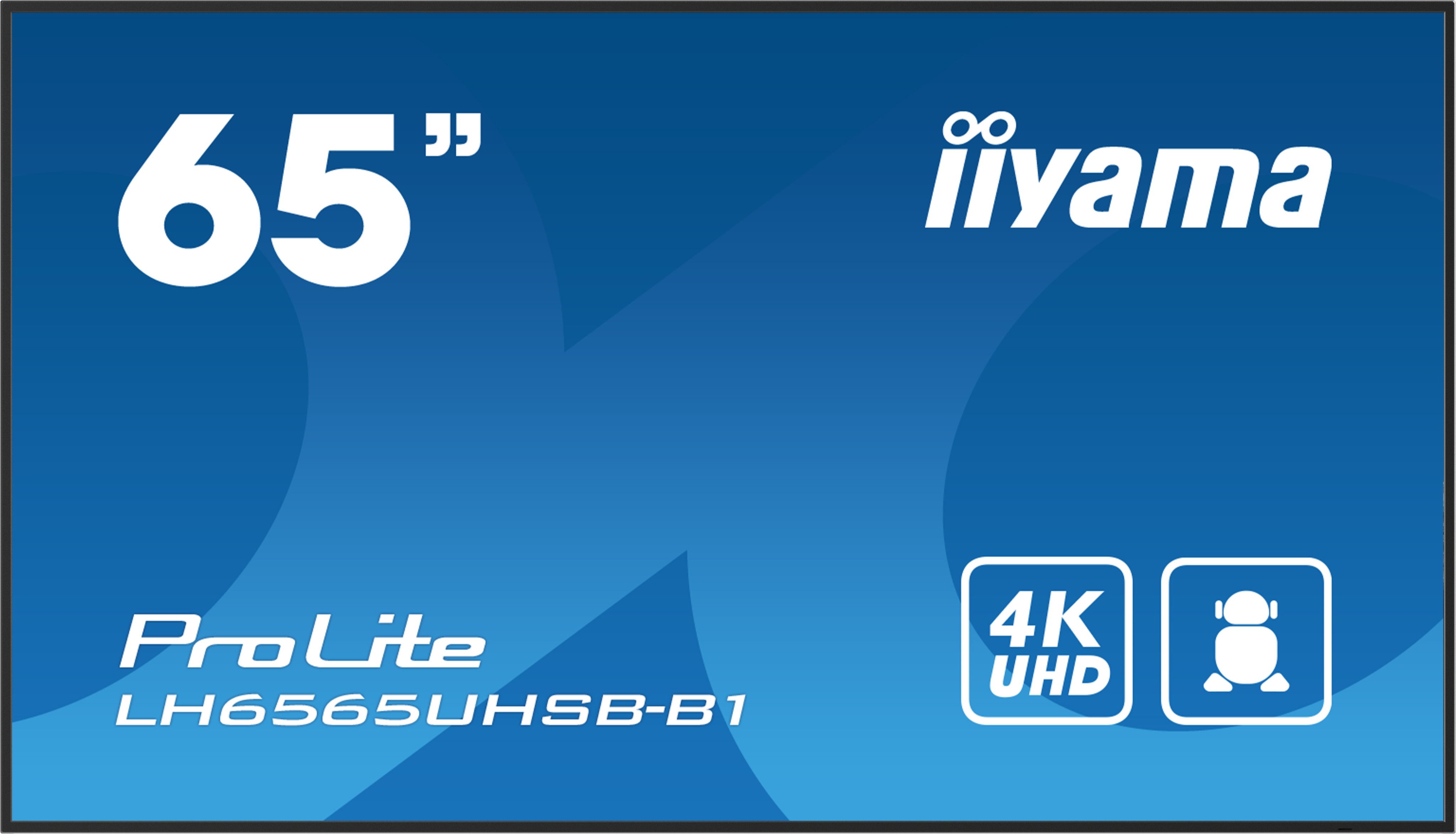 iiyama LH6565UHSB-B1 Écran d'affichage dynamique En forme de kiosk